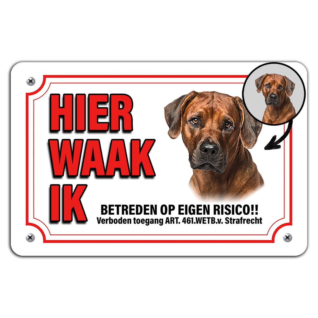 Hier sehen Sie I-Original