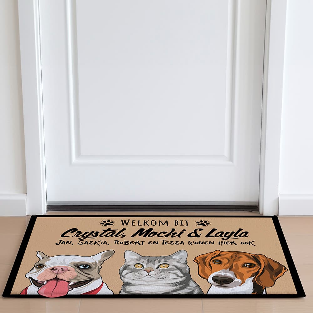 Tapis de Porte pour Animaux de Compagnie