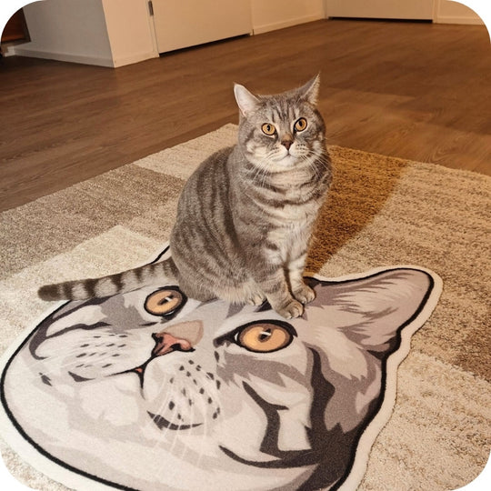 Tapis de Animaux de Compagnie